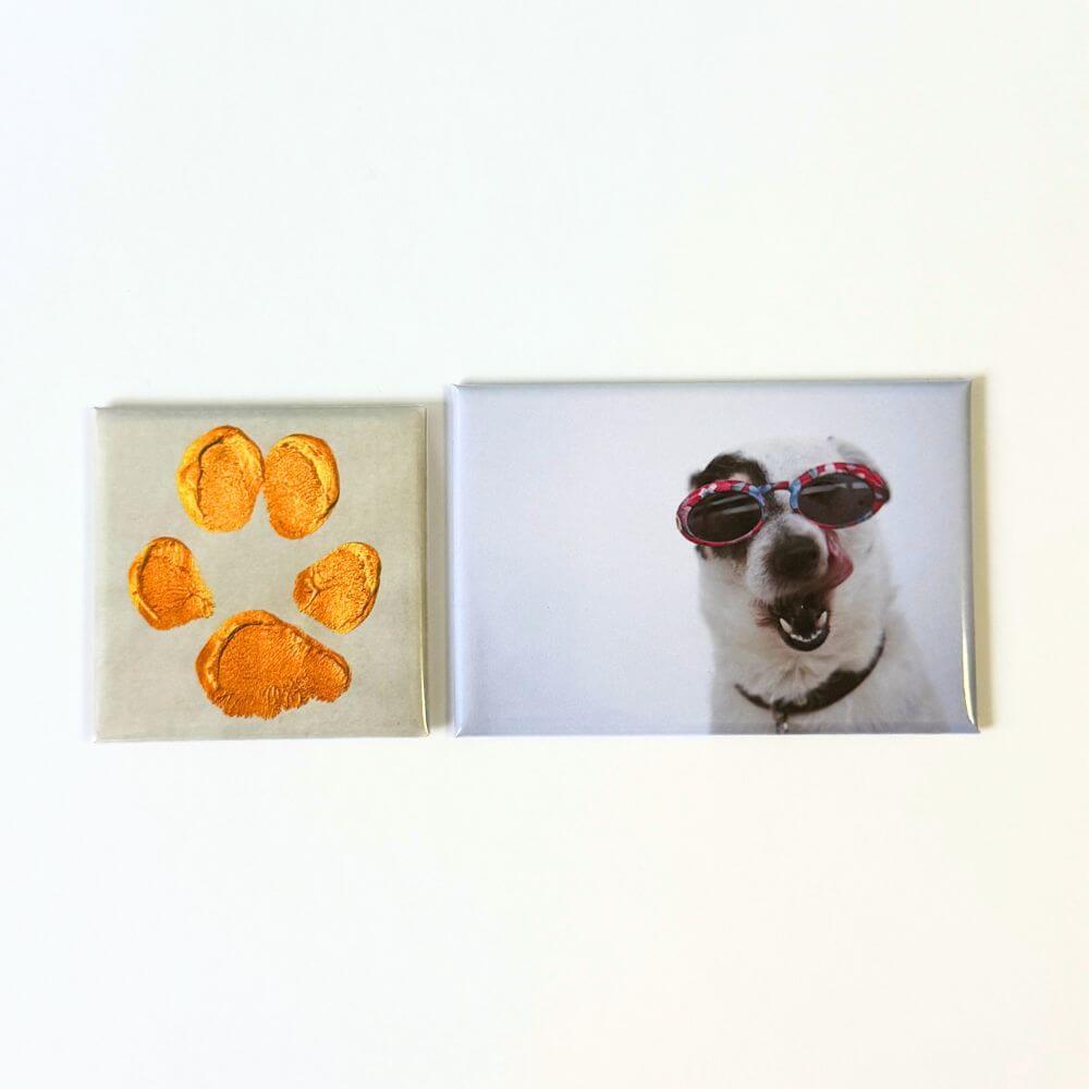 Mini Mixed Magnet Set